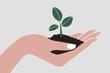 © Deivison - Hand holding a small plant, environment concept.