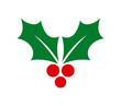© Studio Barcelona - Christmas holly berries symbol. Design element. PNG illustration.