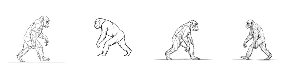 A gorilla in continuous line art drawing style, isolated on a white background, with a black linear design. A great ape primate in modern illustration style.