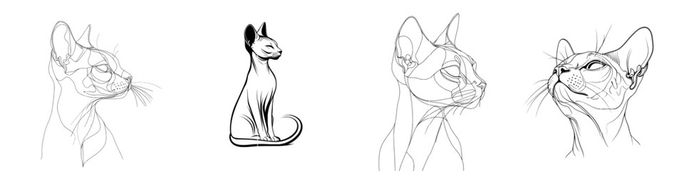 Drawing style of a cat with continuous line art. Abstract black linear design isolated on a white background.