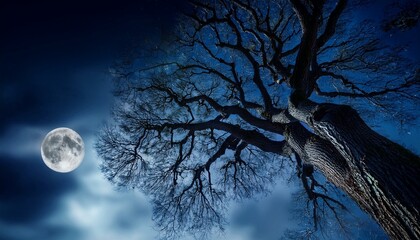 dry tree with twisted branches against the night sky, bottom view, empty space