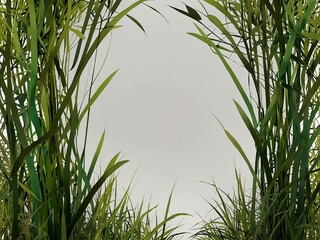 Poster - Green grass motif on a white background, ideal for greeting cards.