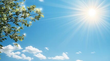 Leinwandbilder - A bright sunny day with a tree in the background. The sky is blue and the sun is shining brightly