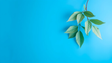 blue background texture on which leaves wallpaper