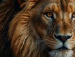 © Kasper - Majestic lion's face radiating strength and pride in a vibrant illustration.