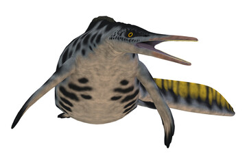 Poster - Hupehsuchus Marine Reptile - Hupehsuchus was a small genus of marine reptile found in China and lived in the Triassic Period. It may be related to the Ichthyosaur reptiles.