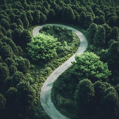 Wall Mural - Nature setting with two roads symbolizing environmental options image
