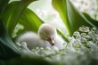© Katarina - A fluffy baby swan nestles comfortably among lily of the valley flowers and lush green leaves, embodying serene innocence in a natural, delicate setting.