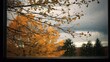 © Rstm - A windowpane covered in raindrops, with a view of autumn leaves and a cloudy sky.