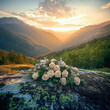 © 3r1k_ai - funeral floral with white roses flowers on a rock with beautiful mountain background at sunset