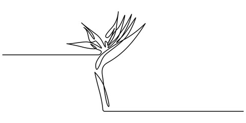 Wall Mural - Exotic Strelitzia flower in one line art drawing style. Bird of paradise flower minimalist black line sketch on white background. Vector illustration, Exotic flower continuous line illustration.