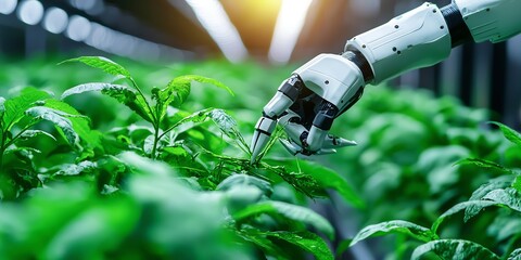 A robotic hand tending to lush green plants in a high-tech greenhouse, highlighting innovation in agriculture and automation.