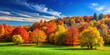 © Sujid - Autumn landscape with colorful trees under a clear blue sky, autumn, landscape, trees, leaves, colorful, nature, season