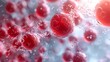 © Infinity - Microscopic Red Cells in Fluid: A Close-Up View of Biology