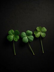 Canvas Print - Three Green Clovers in a Row on Black Background