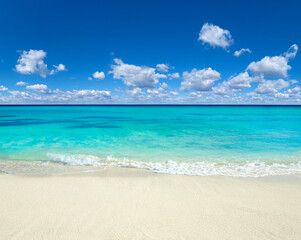 Wall Mural - beach and tropical sea . blue sea and blue sky. nature background