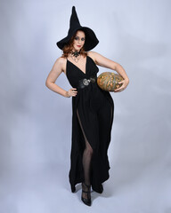 Wall Mural - portrait of beautiful female model wearing glamorous black witch dress, pointy hat halloween costume. walking pose holding pumpkin, isolated figure on studio background