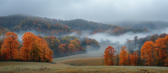 Sticker - Misty Autumn Landscape