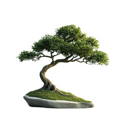 Carefully pruned bonsai tree with lush greenery on a rock against a neutral background