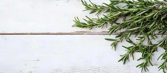 Wall Mural - Flat lay of dry and fresh rosemary on a white wooden table with copy space image for text placement