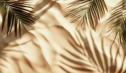 Wall Mural - Palm leaves casting shadows on a sandy beach background