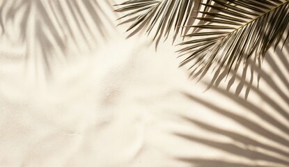 Poster - Palm leaves casting shadows on white sandy beach background