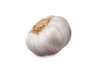 garlic isolated on white background