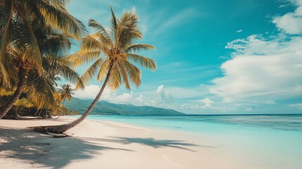 Wall Mural - A picturesque tropical beach with palm trees and clear blue water.