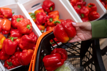 Customer wearing a green jacket is choosing red peppers from a supermarket display and putting them into their shopping cart