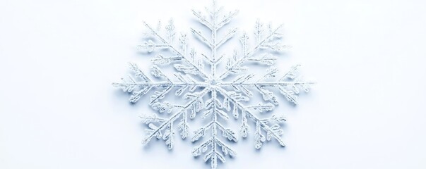 Poster - A close-up of a delicate snowflake, highlighting its intricate patterns against a soft white background. Perfect for winter themes.