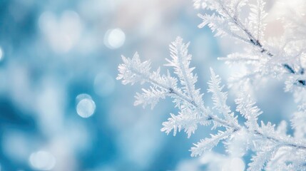 Poster - Delicate snowflakes glistening against a soft blue background, capturing the serene beauty of winter's frost.