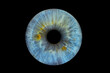 © recep - Close up of eye iris on black background, macro, photography