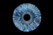 © recep - Close up of eye iris on black background, macro, photography