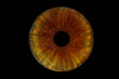 © recep - Close up of eye iris on black background, macro, photography