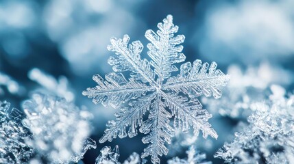 Poster - Close-up of a delicate snowflake resting on a soft surface, showcasing intricate patterns of winter beauty and frost.