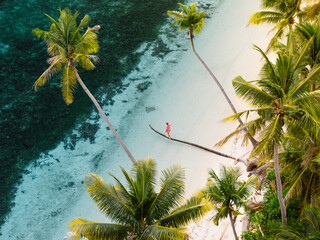 Wall Mural - Woman walk along the trunk of a lying palm tree in tropical sea on her holidays. Drone view with palm trees and female