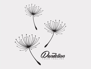 Dandelion flower logo simple creative template on white background . Vector design