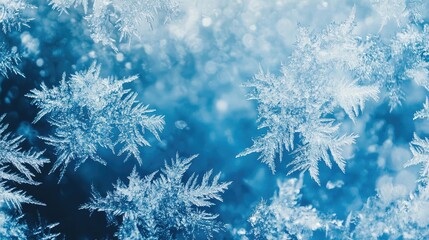 Poster - Close-up view of intricate ice crystals forming a beautiful winter snowflake against a vibrant blue background.