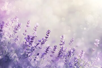 A field of lavender flowers with a blurry background