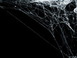 © yuakimov - White threads of spider web on right angle corner close up view isolated on black