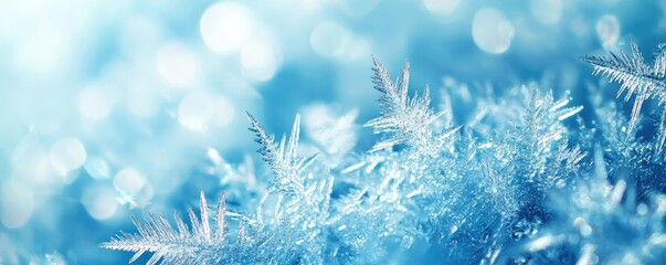 Aufkleber - A close-up image of intricate frost patterns against a soft blue background, evoking a serene winter atmosphere.