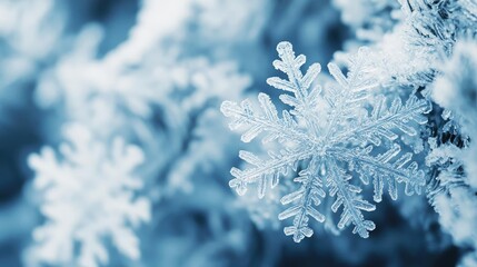 Poster - Close-up of intricate snowflakes showcasing delicate patterns and textures in a frosty blue environment.