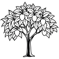 Mango tree line art vector