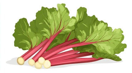 Wall Mural - Flat color cartoon illustration of rhubarb