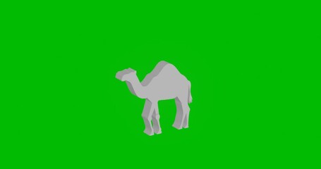 Poster - Animation of rotation of a white camel symbol with shadow. Simple and complex rotation. Seamless looped 4k animation on green chroma key background