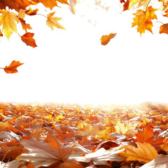 Wall Mural - a beautiful autumn background with golden leaves falling isolated on a transparent background