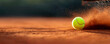 © MCGORIE - A close-up of a tennis ball with dirt particles in mid-air and a blurred background of a red clay court.
