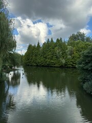 Century park lake and forest in Shanghai, China, beautiful natural scenery