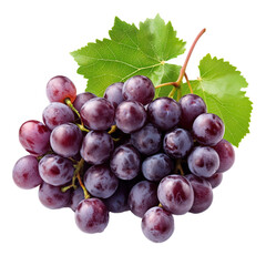 Wall Mural - A bunch of grapes isolated on a transparent background