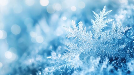 Poster - A close-up of a snowflake resting on a frost-covered surface, showcasing intricate details and soft blue tones of winter.